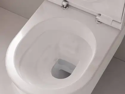 Унітаз підвісний AquaFall Flush (безободковий) Hansgrohe EluPura S в комплекті з сидінням SoftClose 60193450 + 60148450 Унітаз підвісний AquaFall Flush (безободковий) Hansgrohe EluPura S в комплекті з сидінням SoftClose 60193450 + 60148450