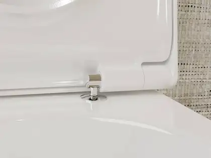 Унітаз підвісний AquaFall Flush (безободковий) Hansgrohe EluPura S в комплекті з сидінням SoftClose 60193450 + 60148450 Унітаз підвісний AquaFall Flush (безободковий) Hansgrohe EluPura S в комплекті з сидінням SoftClose 60193450 + 60148450