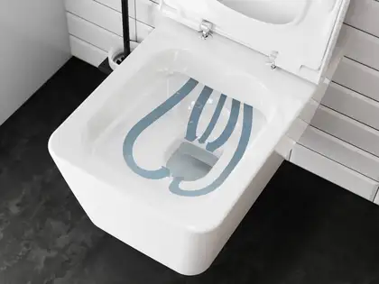 Hansgrohe EluPura Q Унітаз підвісний, білий глянсовий (60194450)