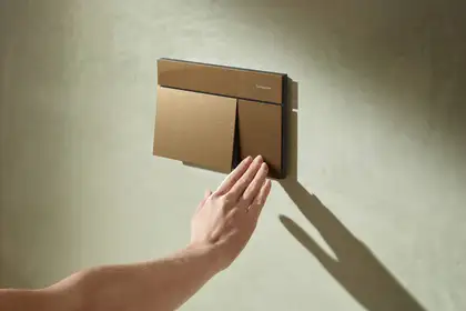 HANSGROHE iFrame Element E Клавиша смыва, Brushed Bronze (66003140) HANSGROHE iFrame Element E Клавиша смыва, Brushed Bronze (66003140)