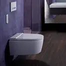 Підвісний унітаз-біде Geberit AquaClean Sela (унітаз білий мат/панель білий мат) 146.224.JT.1