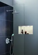 Верхній душ з настінним кронштейном Grohe Euphoria (26458000)