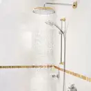 Душовий набір Hansgrohe Raindance Classic 100 3jet, chrome / gold optic (27841090)