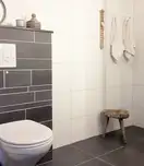 Grohe Skate Air Панель смыва, SuperSteel (38505SH0)