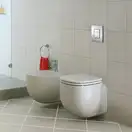 Grohe Skate Cosmopolitan Панель смыва, хром (38732000)
