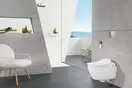 Клавиша смыва Villeroy & Boch ViConnect E300, хром матовый (92218069) фото 2 Aquada.com.ua