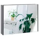 Дзеркальна шафа підвісна Qtap Scorpio QT1477ZP802G (QT1477ZP802G) фото 1 Aquada.com.ua