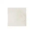 Керамогранит REX CERAMICHE REX MAGNUM Alabastri Madreperla 120X120 (745919) фото 1 Aquada.com.ua