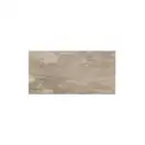 REX CERAMICHE Напольная плитка ARDOISE ECRUIP 40X80 RET 40X80 (738726) фото 1 Aquada.com.ua