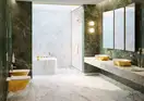Раковина накладная на столешницу Catalano Gold & Silver 60 х 40 см (160APGRLXBO) фото 2 Aquada.com.ua