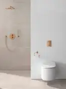 GROHE Душевой гарнитур Rainshower (26066DL0) (26066DL0) фото 3 Aquada.com.ua