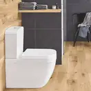 GROHE Унітаз підлогового монтажу Euro Ceramic (3933800H) (3933800H) фото 2 Aquada.com.ua