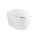 Унитаз подвесной Rimfree (безободковый) Geberit Citterio, с сиденьем Soft Close (500.510.01.1+500.540.01.1) фото 1 Aquada.com.ua