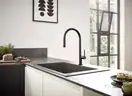 Смеситель для кухни Hansgrohe Talis M54 210 (цвет - чёрный матовый), с вытяжным душем (72801670) фото 2 Aquada.com.ua
