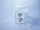 GROHE Термостат для ванны Grohtherm Cube (цвет - хром) (19958000) фото 3 Aquada.com.ua
