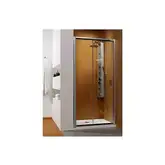 Radaway Premium Plus DWJ 120, двері в нішу, хром (33313-01-01N)