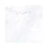 Плитка напольная Fiandre Marble Lab Premium White 60 х 60 см Lucidato (AL191X860)