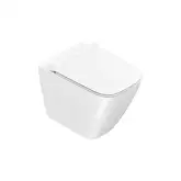 Унитаз напольный NewFlush (безободковый) Catalano Green с сиденьем сиденье Soft Close Plus (1VP55RGR00+5GR55STP00)