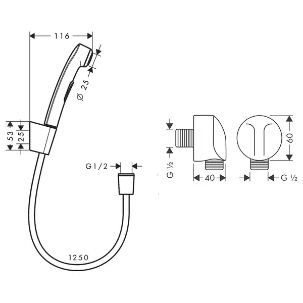 Набор скрытого монтажа с гигиенической лейкой Hansgrohe Logis (цвет - хром) (3B111219 (20180007)) фото 2 Aquada.com.ua