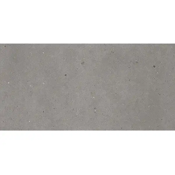 Керамическая плитка Fiandre Fjord Grey 60 х 30 см Semilucidato 8 мм (AS209X836R10) фото 1 Aquada.com.ua Керамическая плитка Fiandre Fjord Grey 60 х 30 см Semilucidato 8 мм (AS209X836R10) фото 1 Aquada.com.ua
