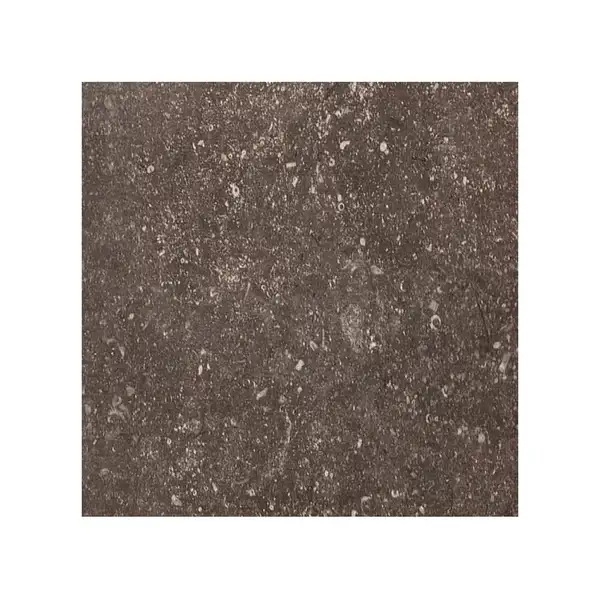 REX CERAMICHE Напольная плитка PIETRA DEL NORD FANGO ANT. NAT. 60X60 60X60 (735310) фото 1 Aquada.com.ua