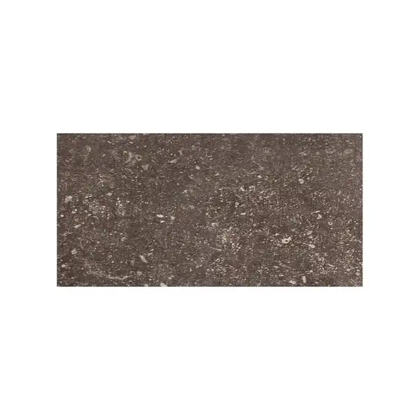 REX CERAMICHE Напольная плитка PIETRA DEL NORD FANGO ANT. NAT. 40X80 40X80 (735318) фото 1 Aquada.com.ua
