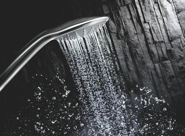 Ручний душ, 1 режим струменя Grohe Euphoria (27265000) Ручний душ, 1 режим струменя Grohe Euphoria (27265000)
