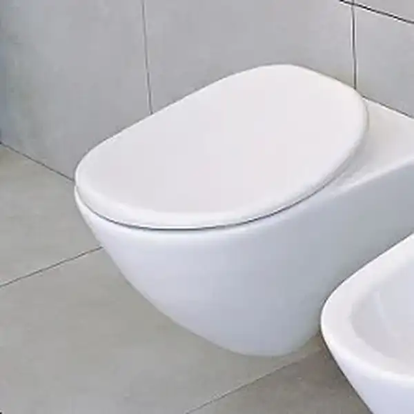Сиденье для унитаза Flaminia Io IOCW02 белое (IOCW02) фото 1 Aquada.com.ua