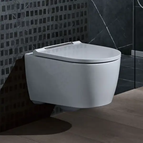 Geberit One Унітаз підвісний безобідковий, з сидінням (500.202.01.1) Geberit One Унітаз підвісний безобідковий, з сидінням (500.202.01.1)