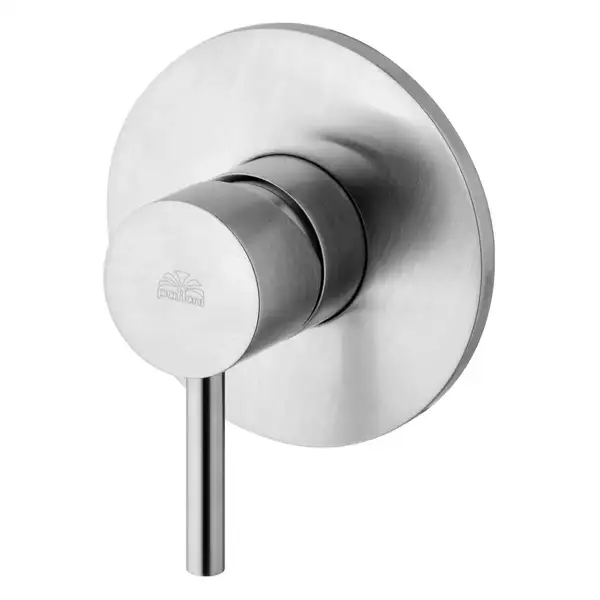 Смеситель для душа Paffoni Light (цвет - сталь) (LIG011ST) Смеситель для душа Paffoni Light (цвет - сталь) (LIG011ST)