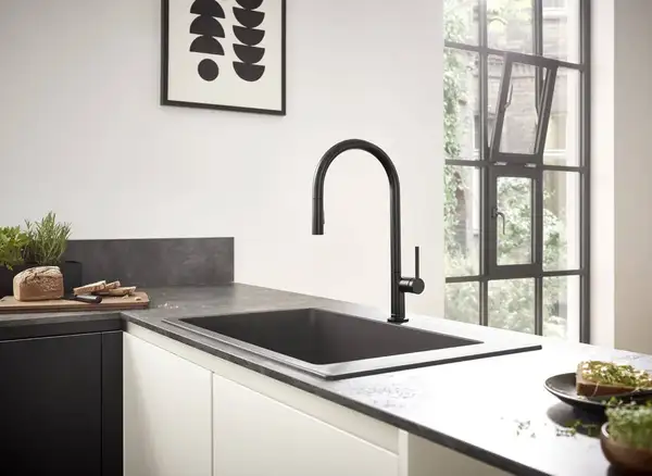 Смеситель для кухни Hansgrohe Talis M54 210 (цвет - чёрный матовый), с вытяжным душем (72801670) фото 2 Aquada.com.ua Смеситель для кухни Hansgrohe Talis M54 210 (цвет - чёрный матовый), с вытяжным душем (72801670) фото 2 Aquada.com.ua