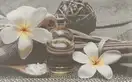 Cersanit Декор Olivia Grey Spa2 25x40 код 9243 Церсаніт (TDZZ1213746040)