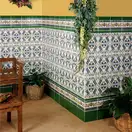 Фриз Moldura Verde 50x200 Mainzu (PT00607)