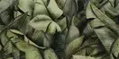 Декор Універсальний Leaf A SZKL 30x60 код 1233 Ceramika Paradyz (IG--300X600-1-UNIW.--LEA2)