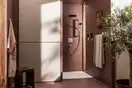 Hansgrohe Raindance Alive Select S Гарнитур, хром (24600000)
