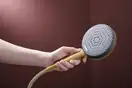 Hansgrohe Raindance Alive S Ecosmart, шлифованная бронза (24600140)