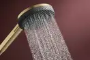 Hansgrohe Raindance Alive S Ecosmart, шлифованная бронза (24600140)