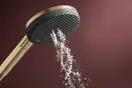Hansgrohe Raindance Alive S Ecosmart, шлифованная бронза (24600140)
