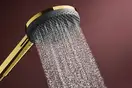 Hansgrohe Raindance Alive Select S Душ. гарнітур, полір. золото (24602990)