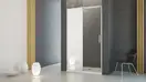 Душові двері Esperа DWJ Mirror 100 L RADAWAY (380110-71L)