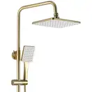Душевой гарнитур REA HASS BRUSHED GOLD с изливом (REA-B9972)