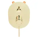 Душевая система REA OVAL GOLD + BOX скрытого монтажа (REA-P8466)