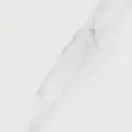 Плитка керамогранітна JW 01 Bianco Statuario LUC SQ 600x600x9 Mirage (TV45)