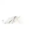 Керамогранит Almera Ceramica Calacatta Gold CHV 8 х 40 см 508101