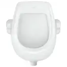 Qtap Scorpio Пісуар дитячий підвісний, білий (QT2388U460W)