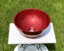 Snail Селена Умывальник накладной, бордо (104H200)