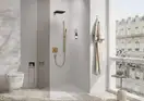 Лейка для душа Hansgrohe Pulsify E 100 1jet EcoSmart+ (цвет - шлифованная бронза) 24321140