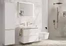 Лейка для душа Hansgrohe Pulsify E 100 1jet EcoSmart+ (цвет - шлифованная бронза) 24321140