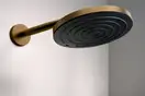 Верхний душ Ø260 мм Hansgrohe Pulsify S EcoSmart, 1 вид струи (цвет - шлифованная бронза) 24141140