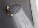Верхний душ Ø260 мм Hansgrohe Pulsify S EcoSmart, 1 вид струи (цвет - шлифованная бронза) 24141140